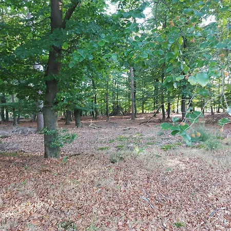 Chalet Wanama. Gelegen Op Het Vakantiepark Het Lierderholt Op De Veluwe. Chalet *