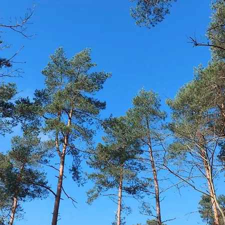 Chalet Wanama. Gelegen Op Het Vakantiepark Het Lierderholt Op De Veluwe. Chalet Beekbergen