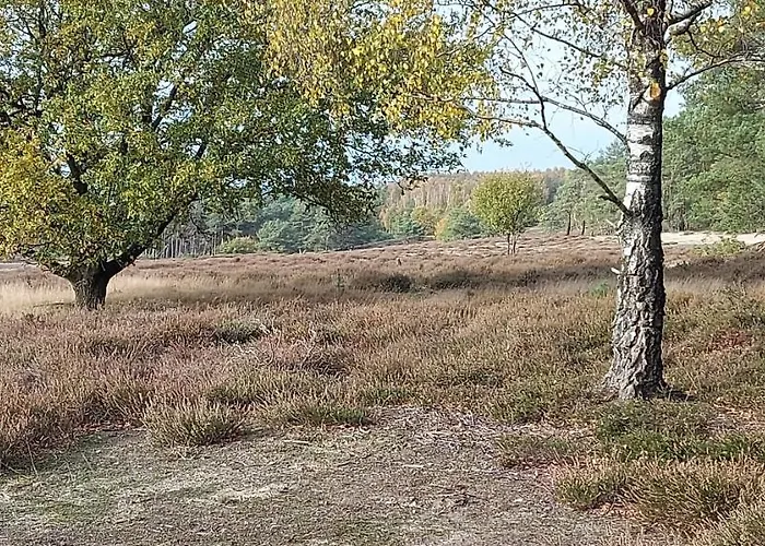 Chalet Wanama. Gelegen Op Het Vakantiepark Het Lierderholt Op De Veluwe. Chalet *
