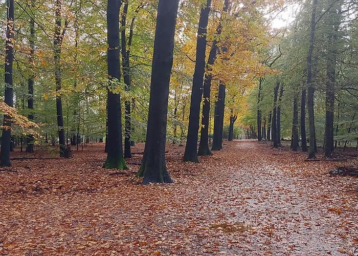Chalet Wanama. Gelegen Op Het Vakantiepark Het Lierderholt Op De Veluwe. *