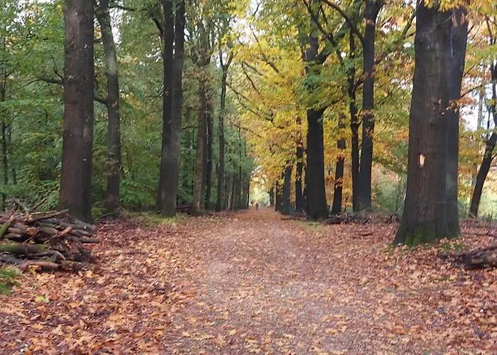 Chalet Wanama. Gelegen Op Het Vakantiepark Het Lierderholt Op De Veluwe.