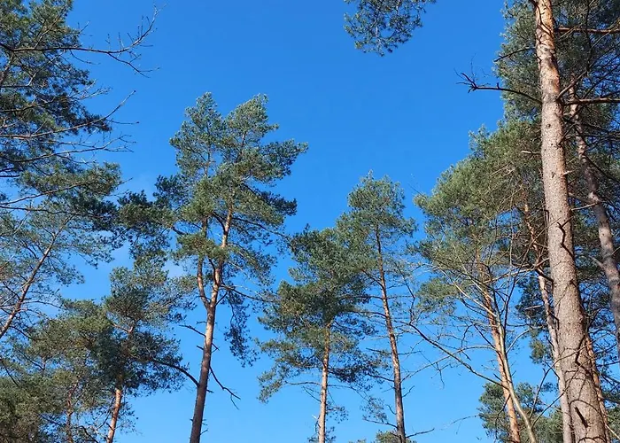 Chalet Wanama. Gelegen Op Het Vakantiepark Het Lierderholt Op De Veluwe. Chalet Beekbergen