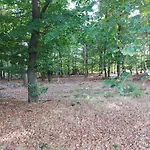 Chalet Wanama. Gelegen Op Het Vakantiepark Het Lierderholt Op De Veluwe. Alpehytte *