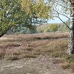 Chalet Wanama. Gelegen Op Het Vakantiepark Het Lierderholt Op De Veluwe. Alpehytte *