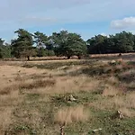 Alpehytte Chalet Wanama. Gelegen Op Het Vakantiepark Het Lierderholt Op De Veluwe. *