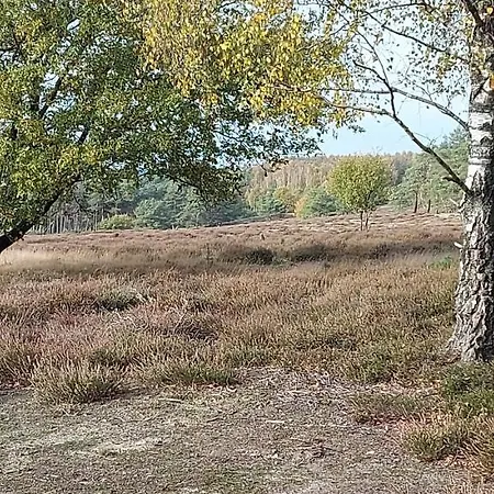 Chalet Wanama. Gelegen Op Het Vakantiepark Het Lierderholt Op De Veluwe. בקתה *