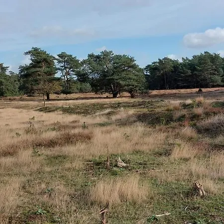 בקתה Chalet Wanama. Gelegen Op Het Vakantiepark Het Lierderholt Op De Veluwe. *