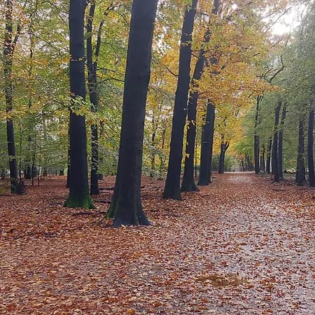 Chalet Wanama. Gelegen Op Het Vakantiepark Het Lierderholt Op De Veluwe. *
