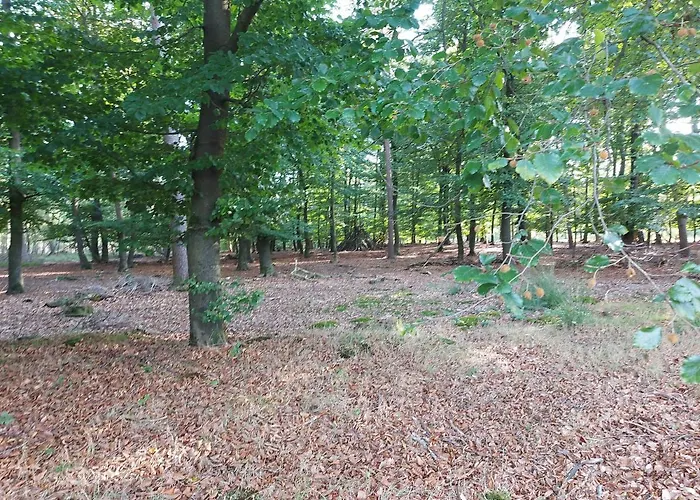 Chalet Wanama. Gelegen Op Het Vakantiepark Het Lierderholt Op De Veluwe. Alpehytte *