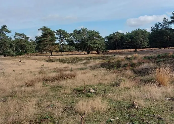 Alpehytte Chalet Wanama. Gelegen Op Het Vakantiepark Het Lierderholt Op De Veluwe. *